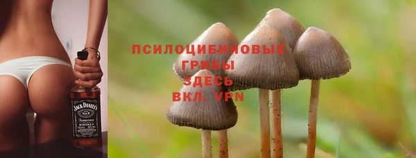 таблы Алексин