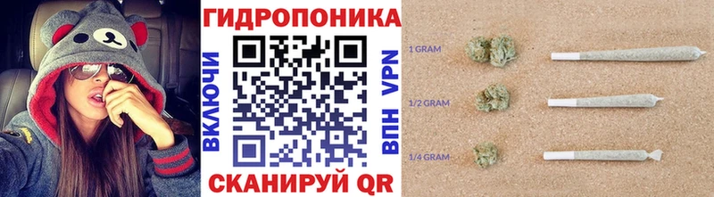 Конопля LSD WEED  Сольвычегодск 